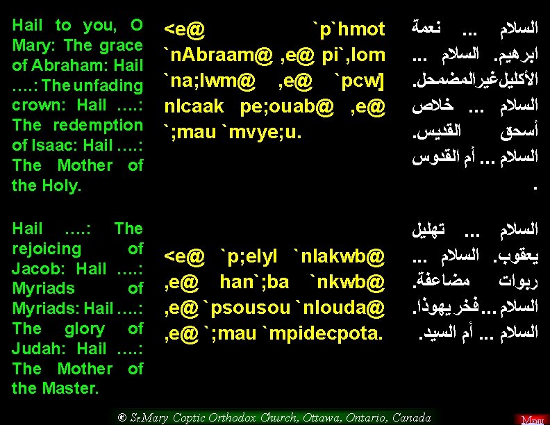 Hail to you, O Mary: The grace of Abraham: Hail …. : The unfading