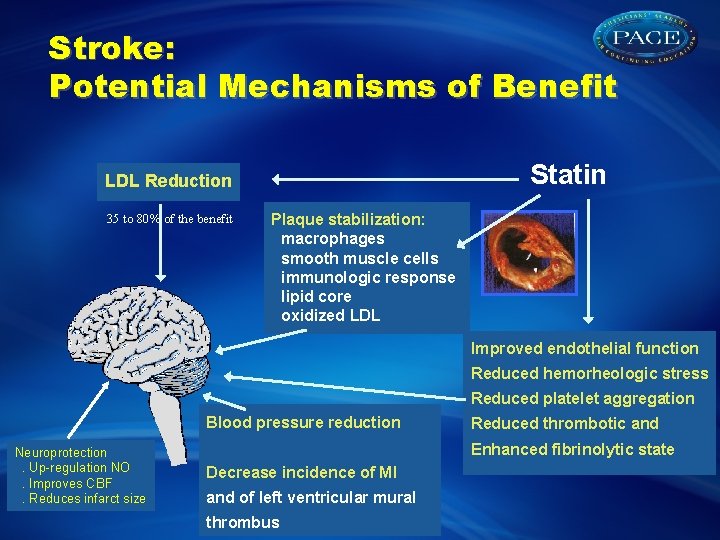 Stroke: Potential Mechanisms of Benefit Statin LDL Reduction 35 to 80% of the benefit