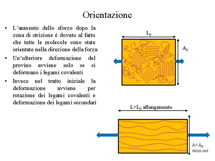 Orientazione • L’aumento dello sforzo dopo la zona di strizione è dovuto al fatto