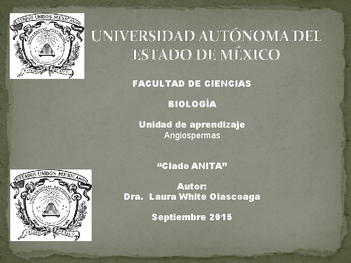 UNIVERSIDAD AUTÓNOMA DEL ESTADO DE MÉXICO FACULTAD DE CIENCIAS BIOLOGÍA Unidad de aprendizaje Angiospermas