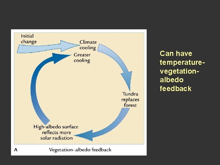 Can have temperaturevegetationalbedo feedback 