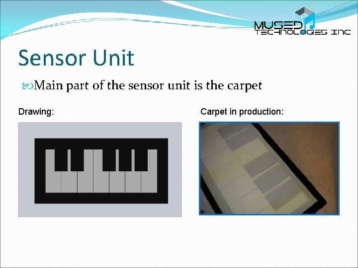 Sensor Unit Main part of the sensor unit is the carpet Drawing: Carpet in