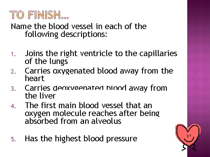 Name the blood vessel in each of the following descriptions: 1. 2. 3. 4.