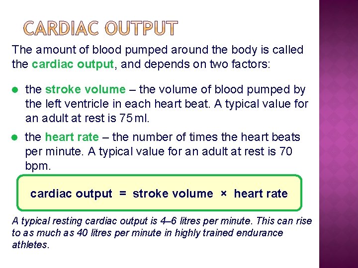 The amount of blood pumped around the body is called the cardiac output, and