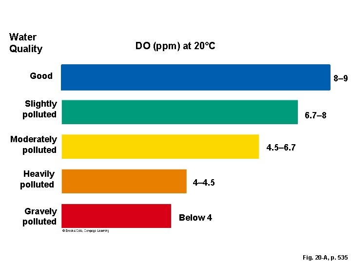 Water Quality DO (ppm) at 20°C Good 8– 9 Slightly polluted 6. 7– 8