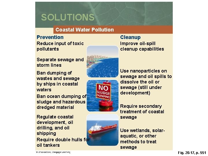 SOLUTIONS Coastal Water Pollution Prevention Cleanup Reduce input of toxic pollutants Improve oil-spill cleanup