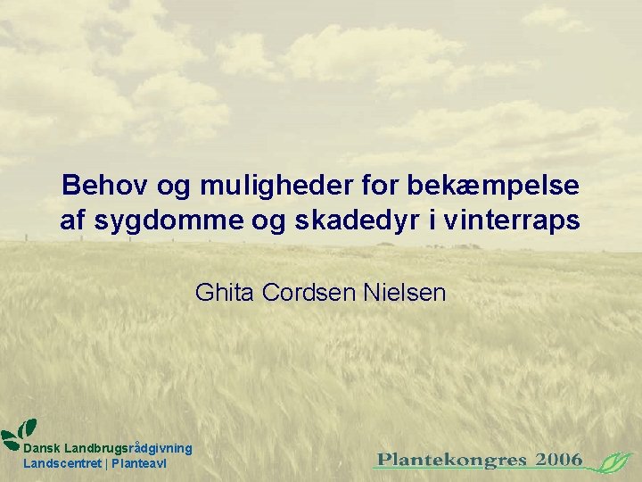 Behov og muligheder for bekæmpelse af sygdomme og skadedyr i vinterraps Ghita Cordsen Nielsen