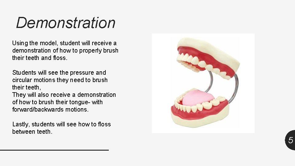 Demonstration Using the model, student will receive a demonstration of how to properly brush