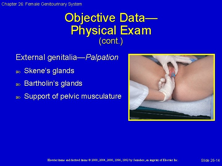 Chapter 26: Female Genitourinary System Objective Data— Physical Exam (cont. ) External genitalia—Palpation Skene’s Chapter 26: Female Genitourinary System Objective Data— Physical Exam (cont. ) External genitalia—Palpation Skene’s