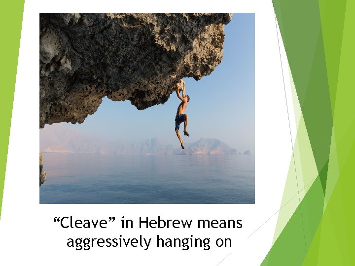 “Cleave” in Hebrew means aggressively hanging on “Cleave” in Hebrew means aggressively hanging on