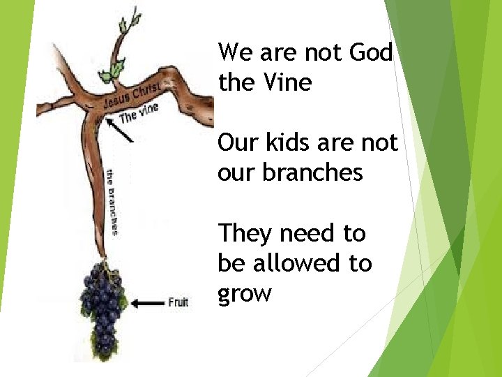 We are not God the Vine Our kids are not our branches They need We are not God the Vine Our kids are not our branches They need
