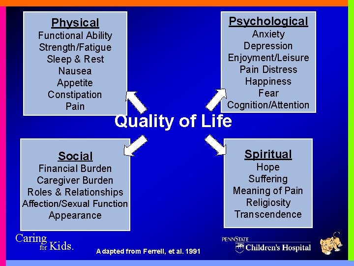 Psychological Physical Functional Ability Strength/Fatigue Sleep & Rest Nausea Appetite Constipation Pain Anxiety Depression