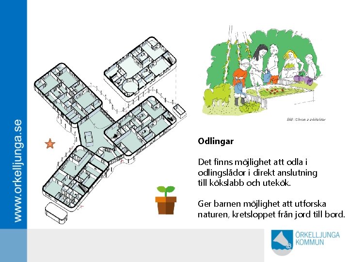 Bild: Chroma arkitekter Odlingar Det finns möjlighet att odla i odlingslådor i direkt anslutning