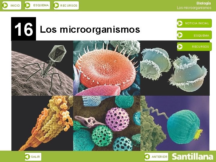 INICIO ESQUEMA 16 Biología Los microorganismos RECURSOS NOTICIA INICIAL Los microorganismos ESQUEMA RECURSOS SALIR