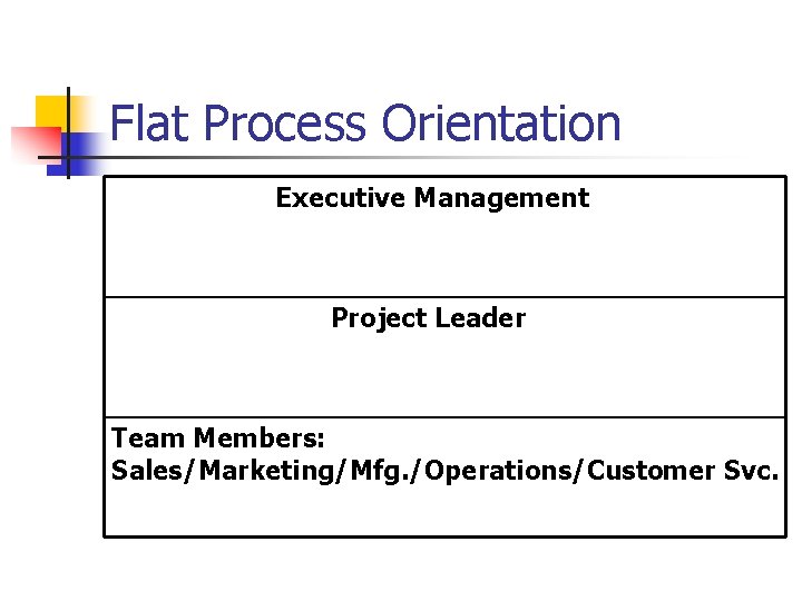 Flat Process Orientation Executive Management Project Leader Team Members: Sales/Marketing/Mfg. /Operations/Customer Svc. 