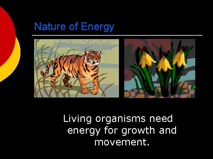 Nature of Energy Living organisms need energy for growth and movement. 