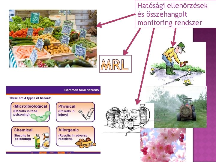 Hatósági ellenőrzések és összehangolt monitoring rendszer 