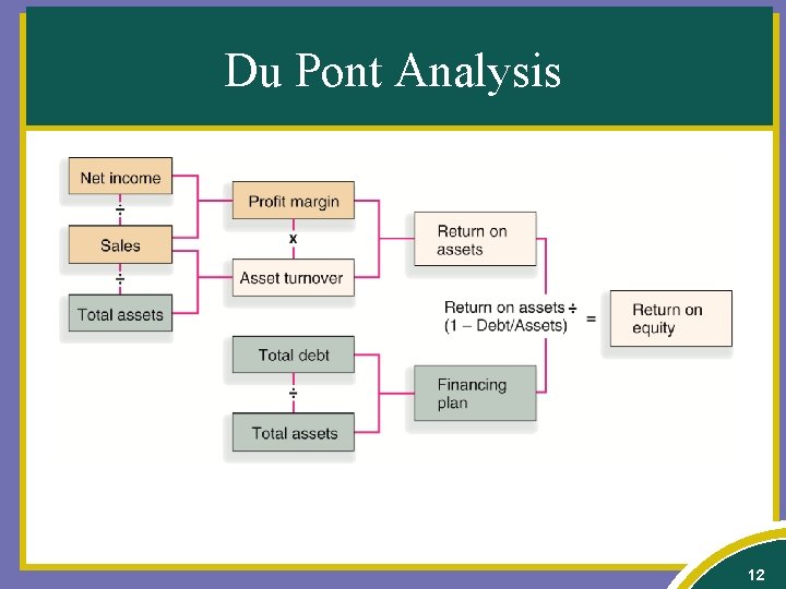 Du Pont Analysis 12 