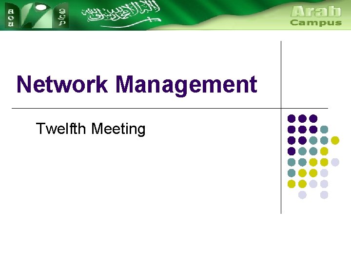 Network Management Twelfth Meeting 