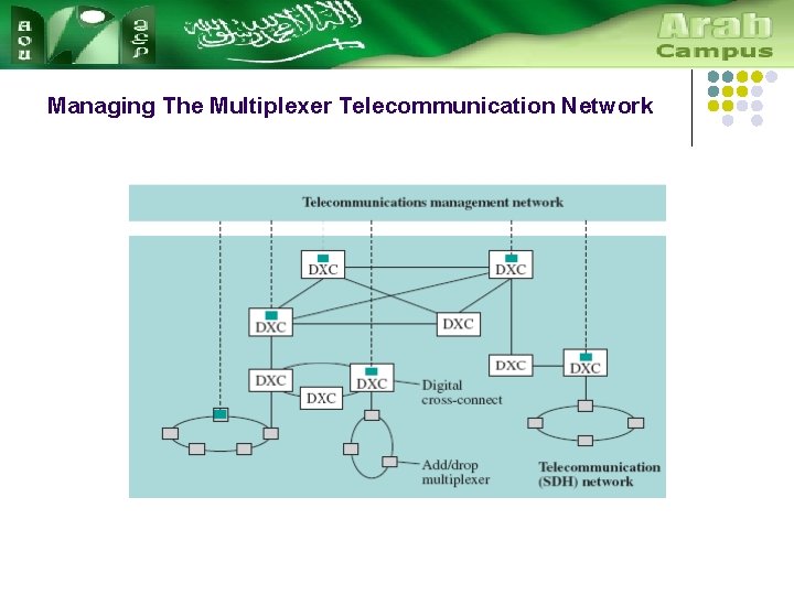 Managing The Multiplexer Telecommunication Network 