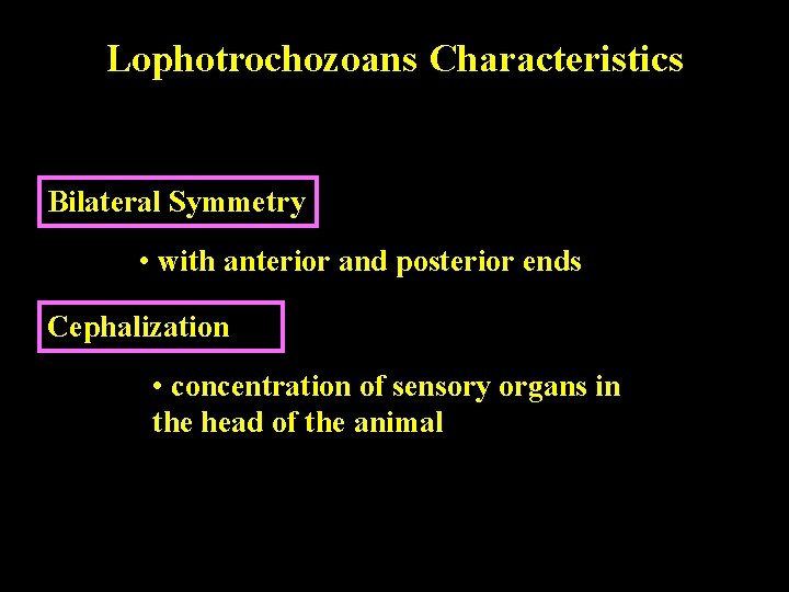 Lophotrochozoans Characteristics Bilateral Symmetry • with anterior and posterior ends Cephalization • concentration of