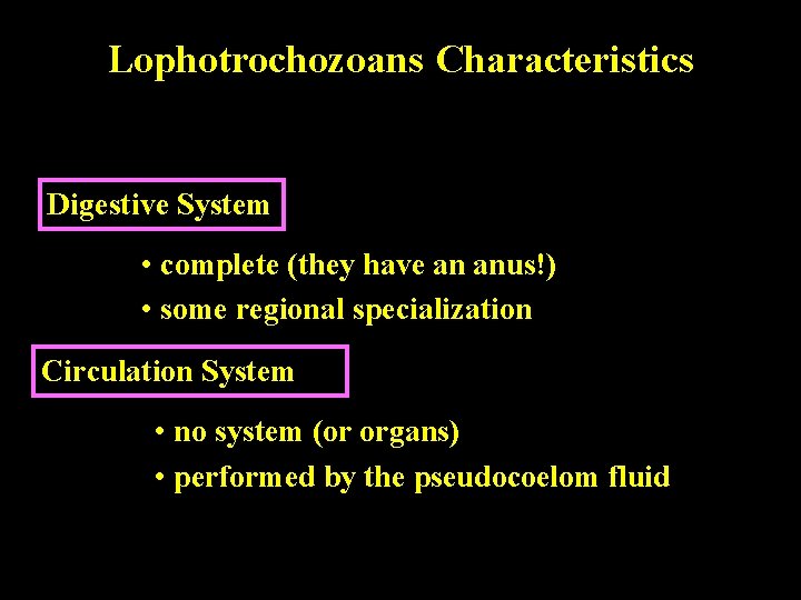 Lophotrochozoans Characteristics Digestive System • complete (they have an anus!) • some regional specialization