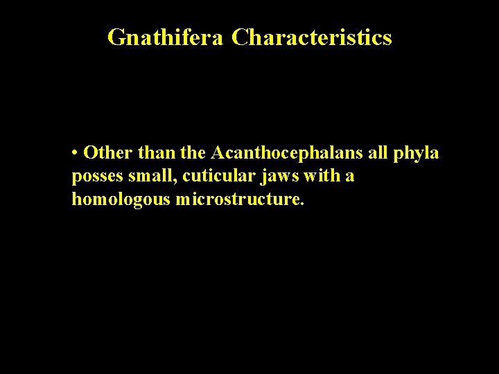 Gnathifera Characteristics • Other than the Acanthocephalans all phyla posses small, cuticular jaws with