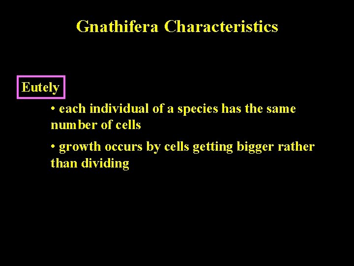 Gnathifera Characteristics Eutely • each individual of a species has the same number of