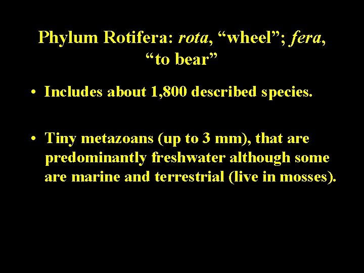 Phylum Rotifera: rota, “wheel”; fera, “to bear” • Includes about 1, 800 described species.