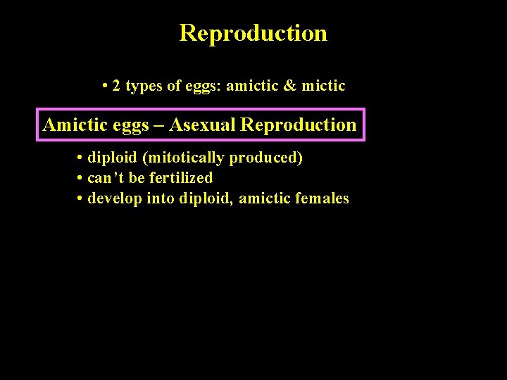 Reproduction • 2 types of eggs: amictic & mictic Amictic eggs – Asexual Reproduction