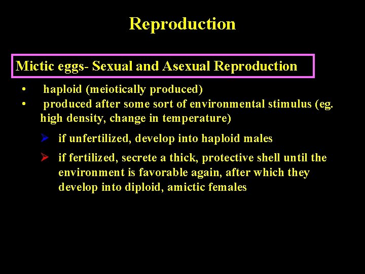 Reproduction Mictic eggs- Sexual and Asexual Reproduction • • haploid (meiotically produced) produced after