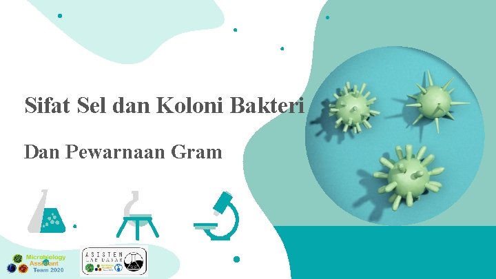 Sifat Sel dan Koloni Bakteri Dan Pewarnaan Gram 