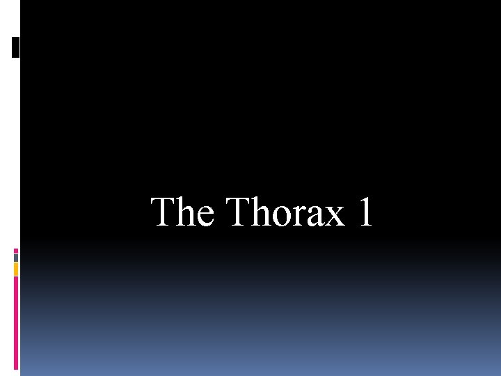 The Thorax 1 