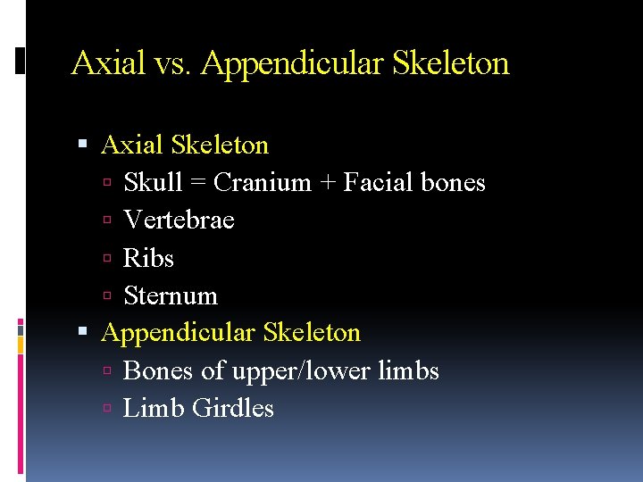 Axial vs. Appendicular Skeleton Axial Skeleton Skull = Cranium + Facial bones Vertebrae Ribs