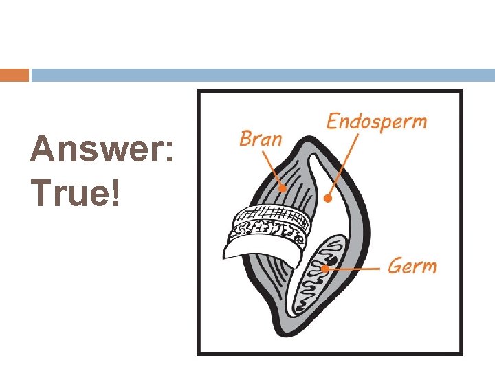 Answer: True! 