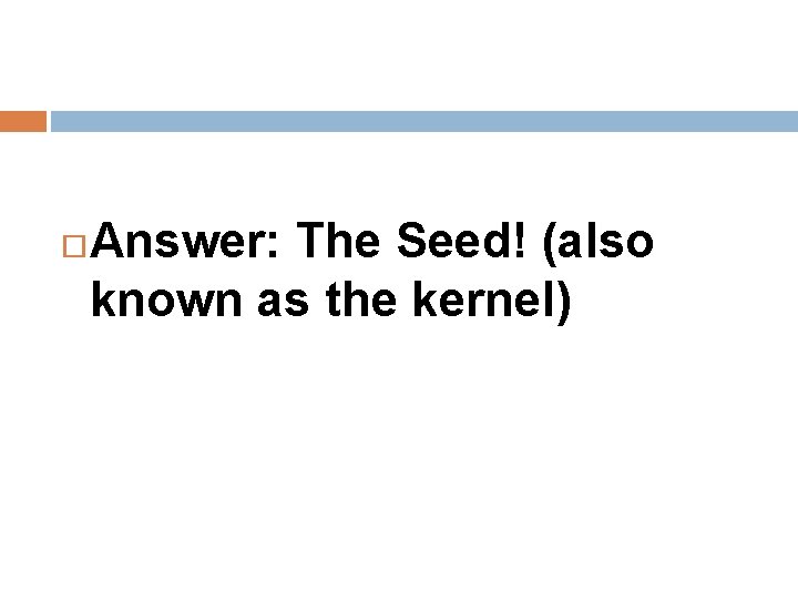  Answer: The Seed! (also known as the kernel) 