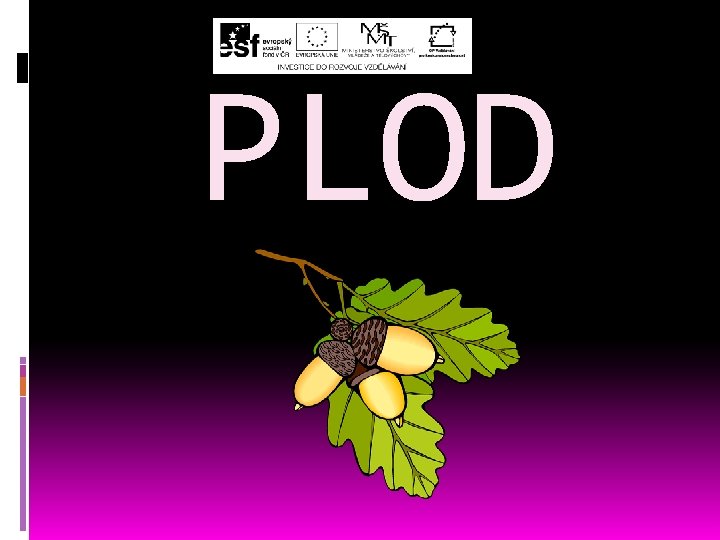 PLOD PLOD