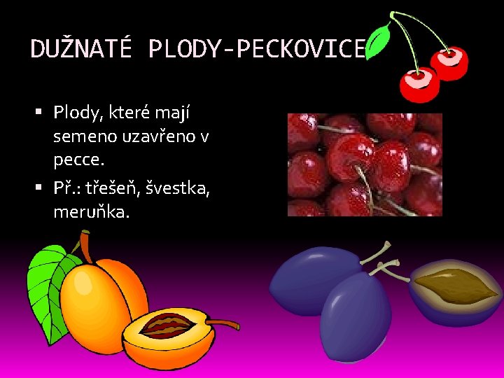 DUŽNATÉ PLODY-PECKOVICE Plody, které mají semeno uzavřeno v pecce. Př. : třešeň, švestka, meruňka. DUŽNATÉ PLODY-PECKOVICE Plody, které mají semeno uzavřeno v pecce. Př. : třešeň, švestka, meruňka.