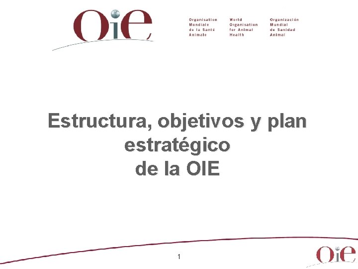 Estructura, objetivos y plan estratégico de la OIE 1 