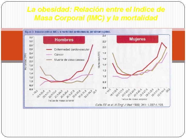 La obesidad: Relación entre el Indice de Masa Corporal (IMC) y la mortalidad La obesidad: Relación entre el Indice de Masa Corporal (IMC) y la mortalidad