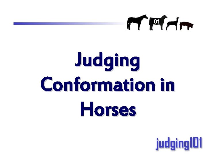 01 Judging Conformation in Horses 