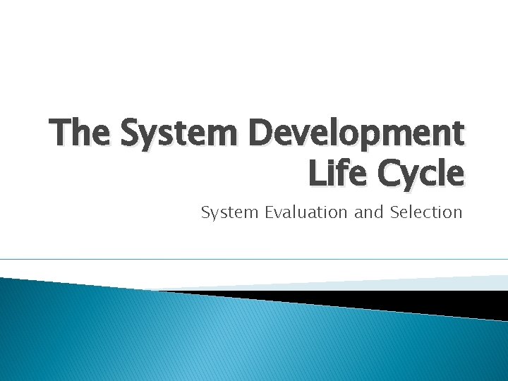 The System Development Life Cycle System Evaluation and Selection 
