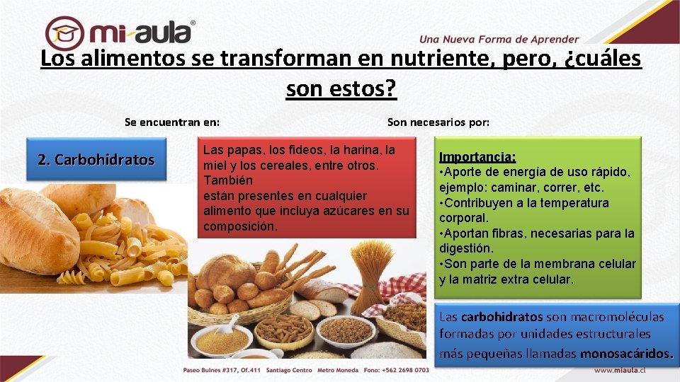 Los alimentos se transforman en nutriente, pero, ¿cuáles son estos? Se encuentran en: 2.