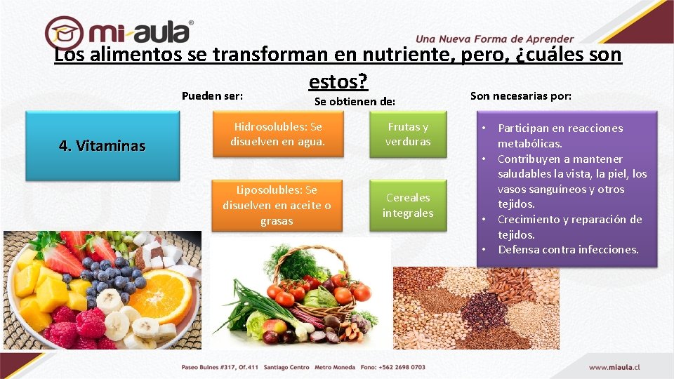 Los alimentos se transforman en nutriente, pero, ¿cuáles son estos? Pueden ser: Son necesarias