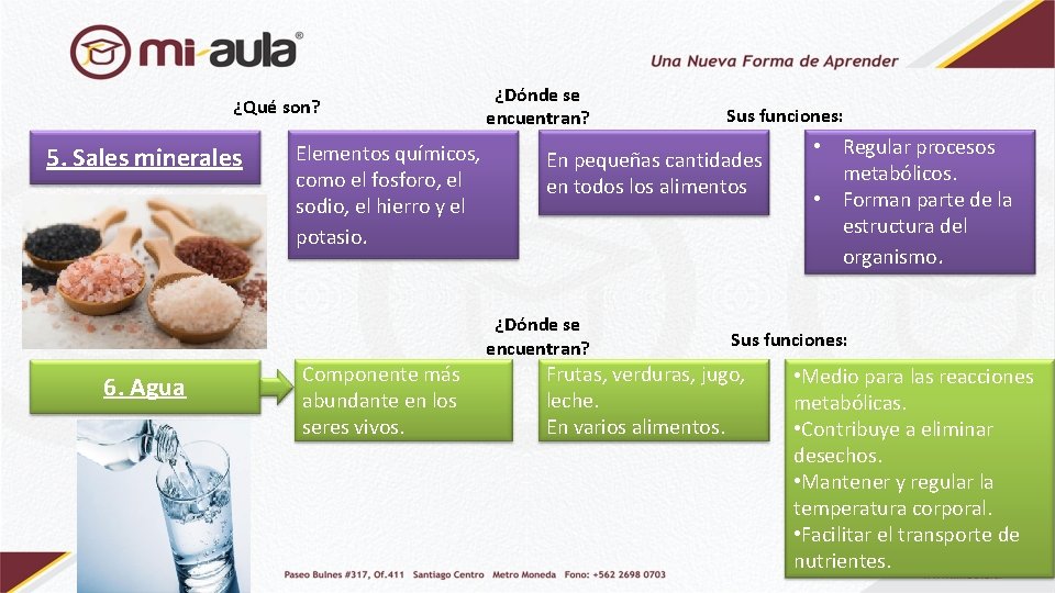 ¿Qué son? 5. Sales minerales 6. Agua Elementos químicos, como el fosforo, el sodio,