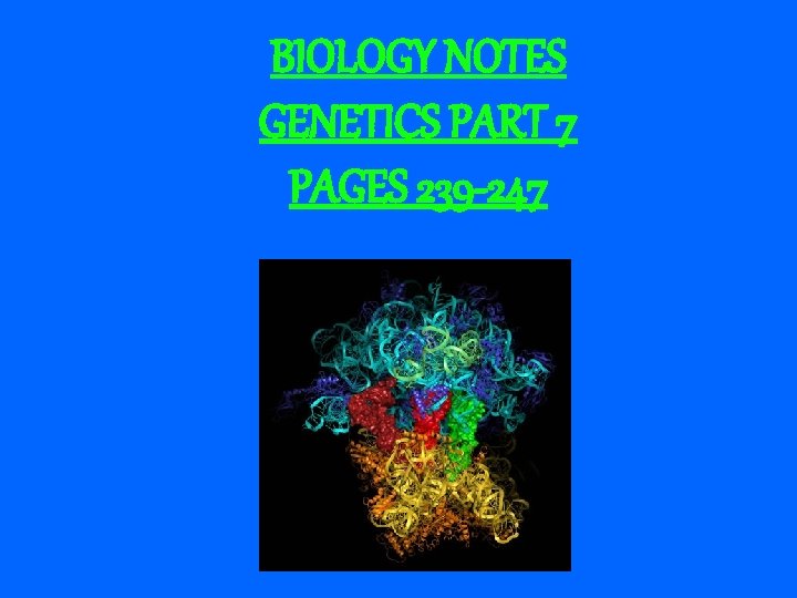 BIOLOGY NOTES GENETICS PART 7 PAGES 239 -247 