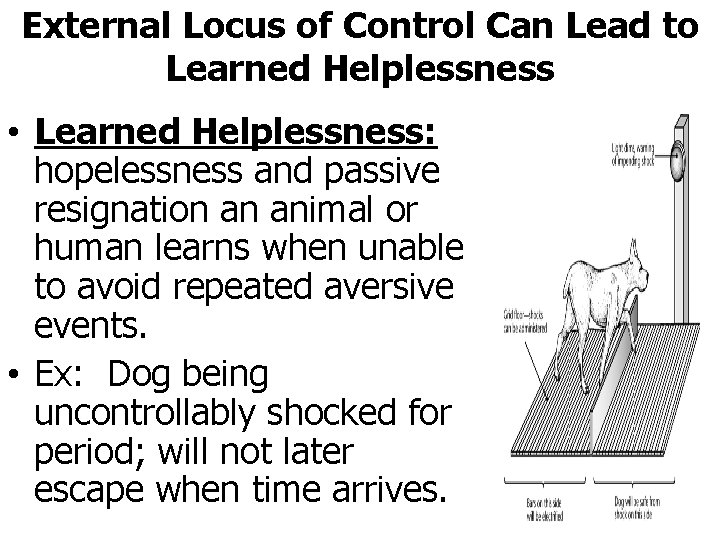 External Locus of Control Can Lead to Learned Helplessness • Learned Helplessness: hopelessness and