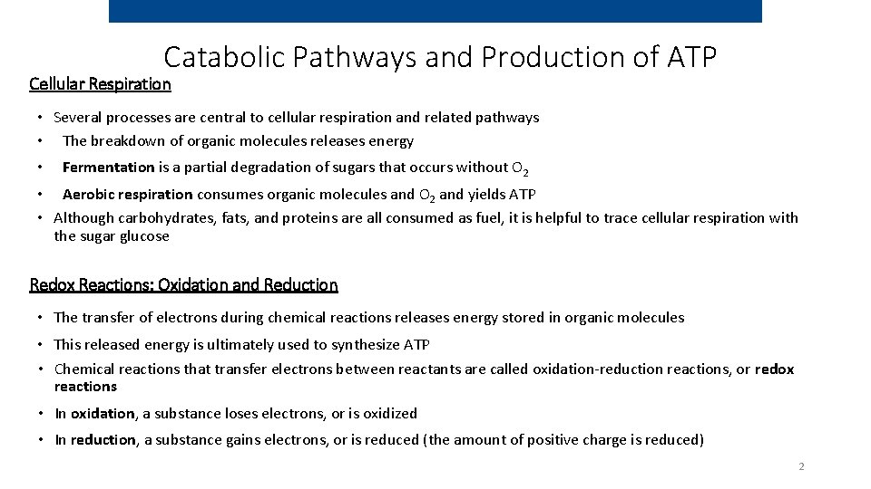 Catabolic Pathways and Production of ATP Cellular Respiration • Several processes are central to