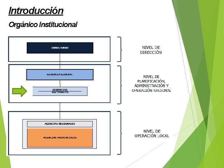 Introducción Orgánico Institucional 