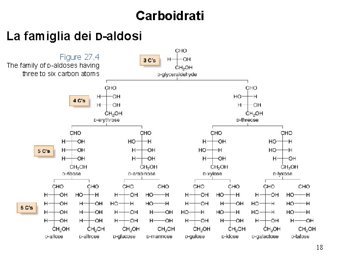 Carboidrati La famiglia dei D-aldosi Figure 27. 4 The family of D-aldoses having three